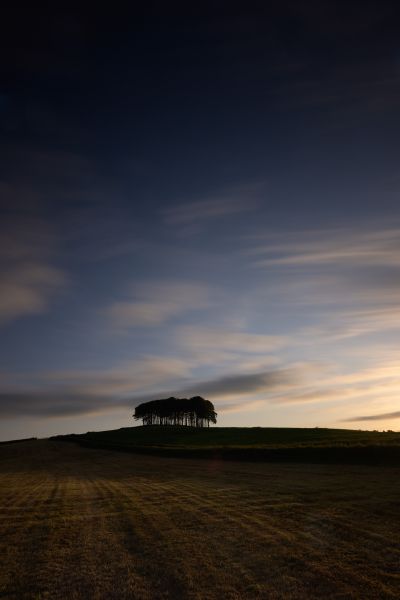 Lower Cookworthy Knapp 2