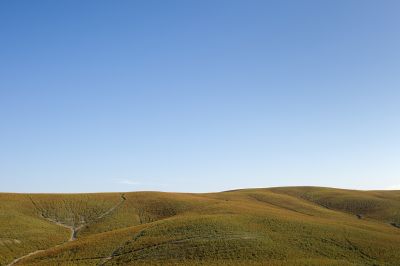 Rolling Tuscan Hills