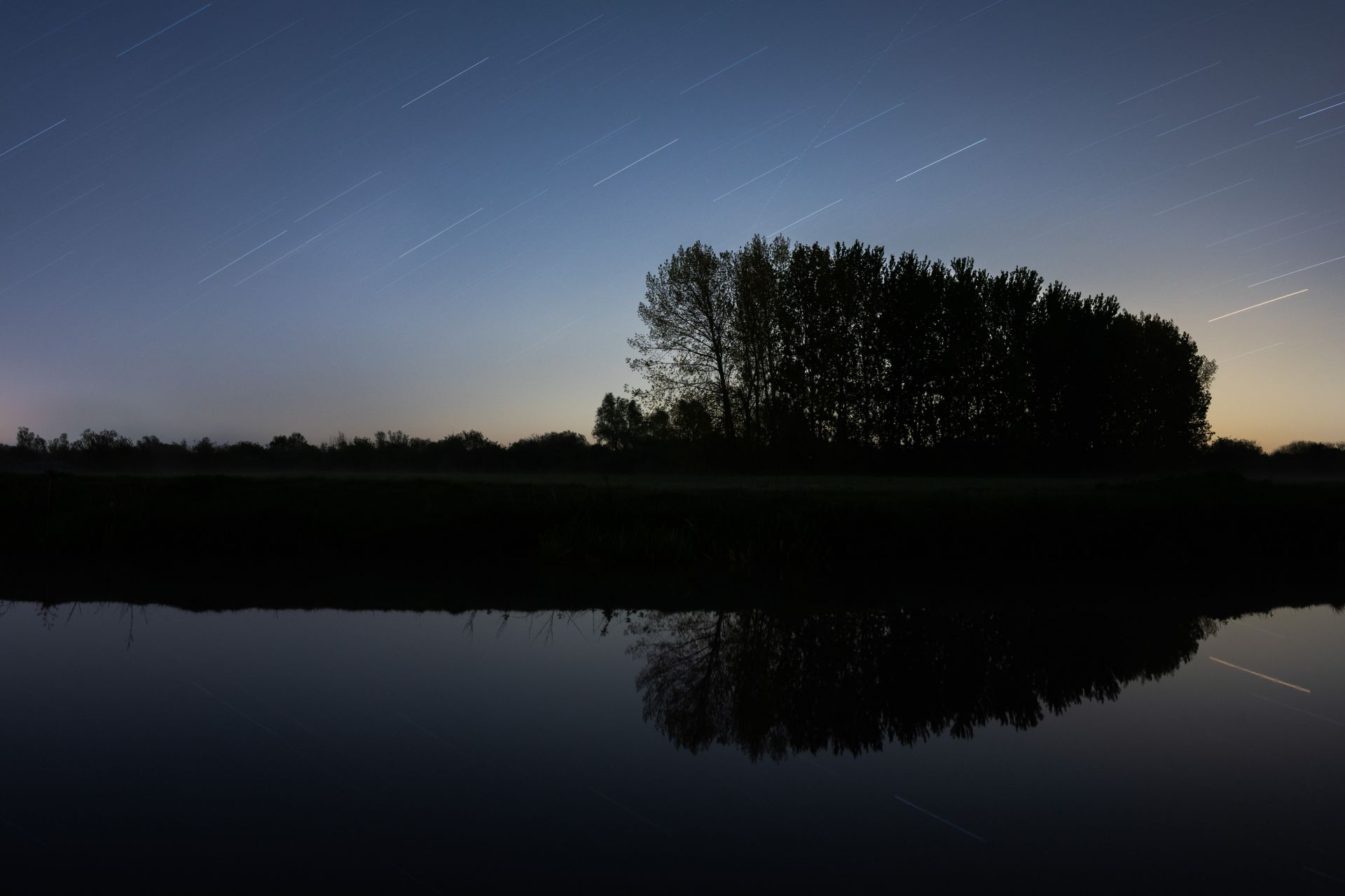 Copse of Trees at Night