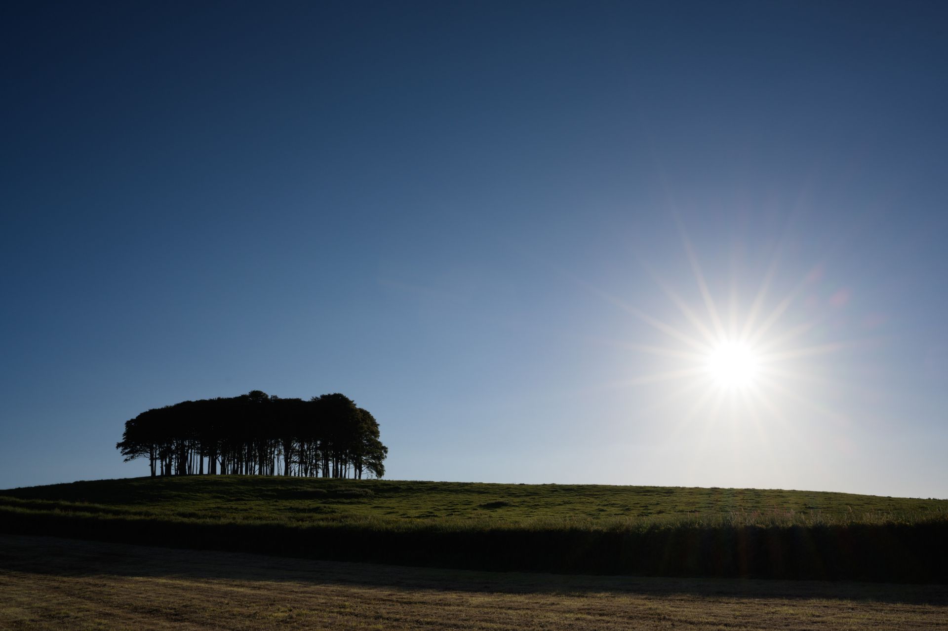 Lower Cookworthy Knapp 3