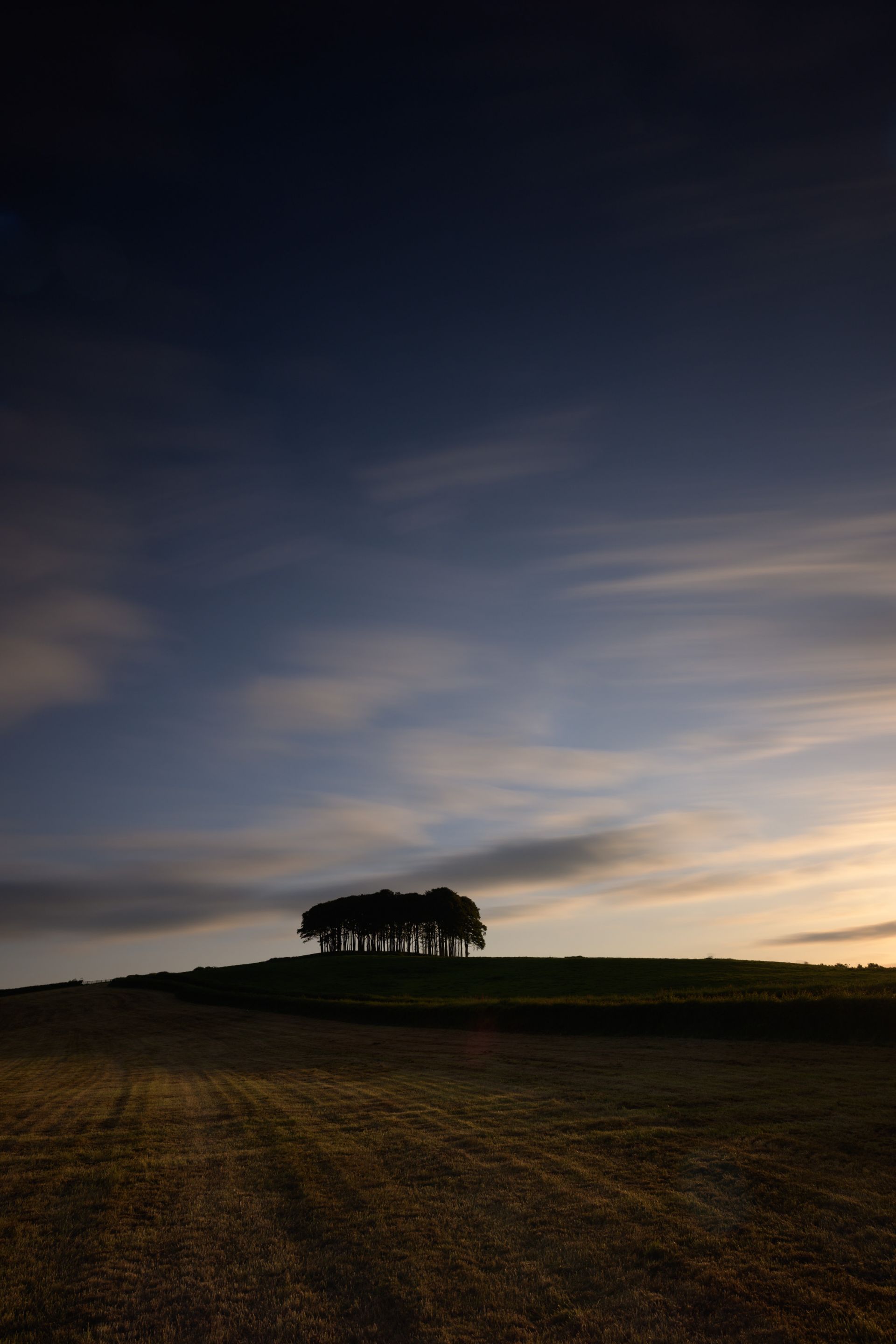 Lower Cookworthy Knapp 2