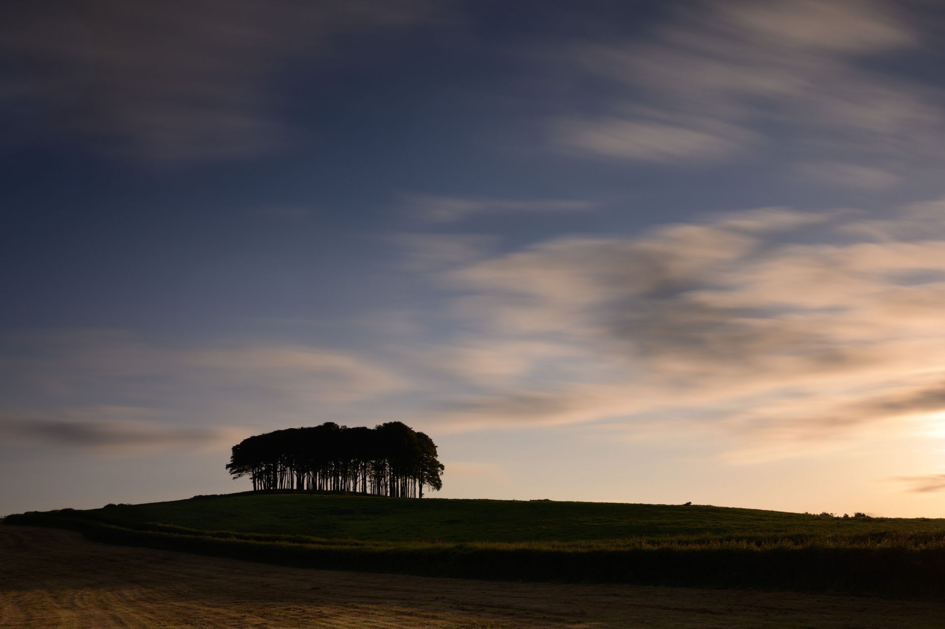 Lower Cookworthy Knapp 1