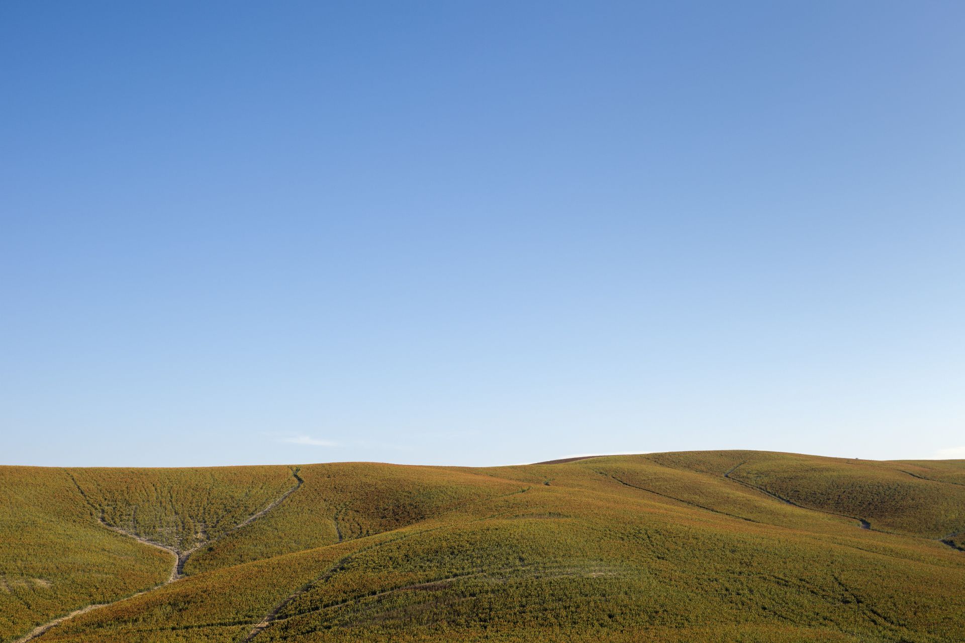 Rolling Tuscan Hills